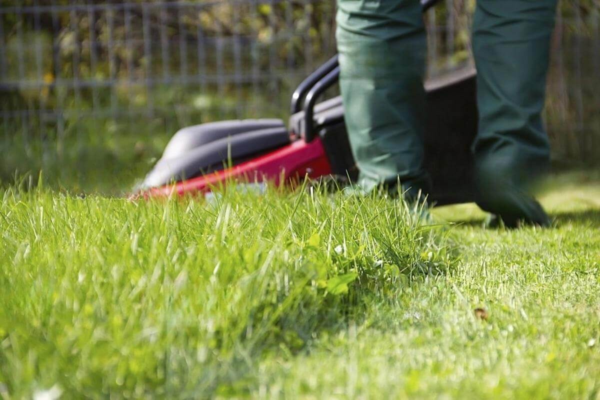 Long-Established Lawn/Garden Business: HIGH INCOME! WORK FROM ANYWHERE!