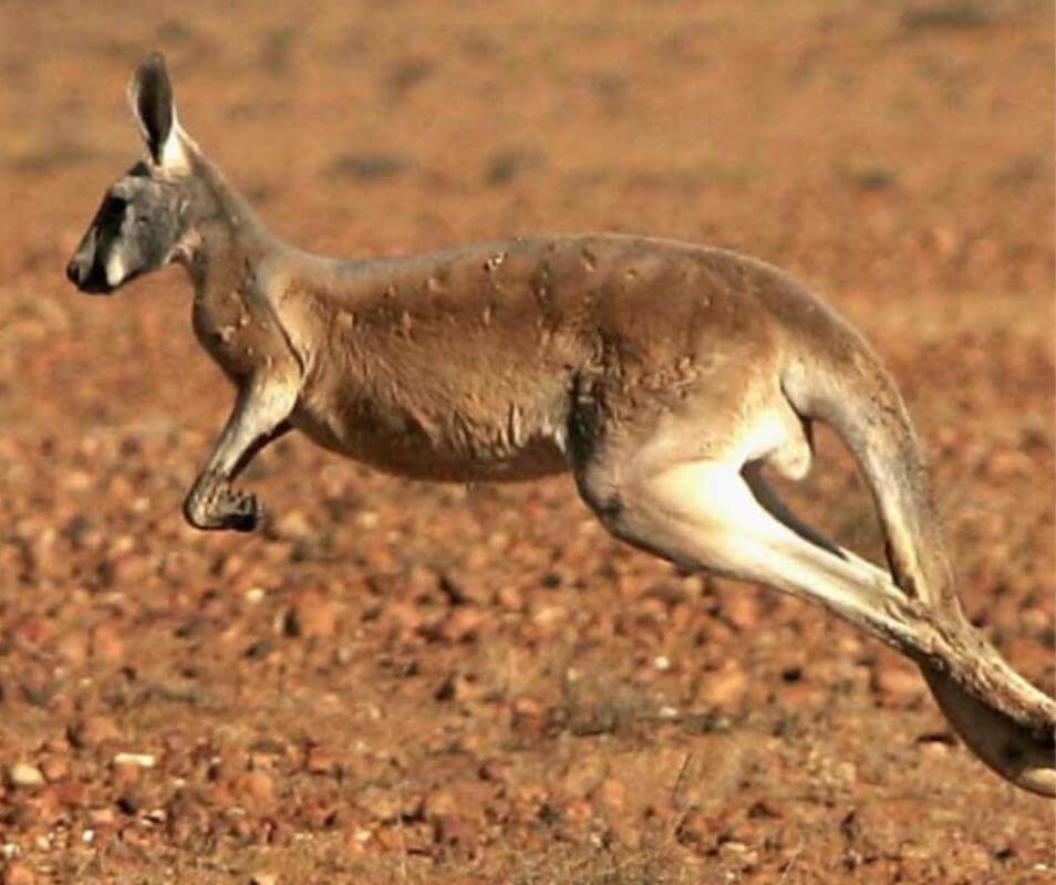 Printing of Clothing & Souvenirs, eCommerce Magazine & Post Office