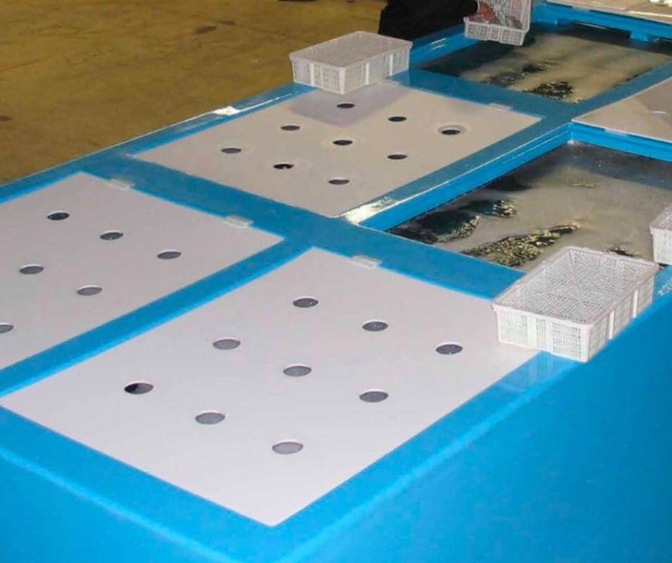 Seizing Global Opportunities in the Seafood Industry