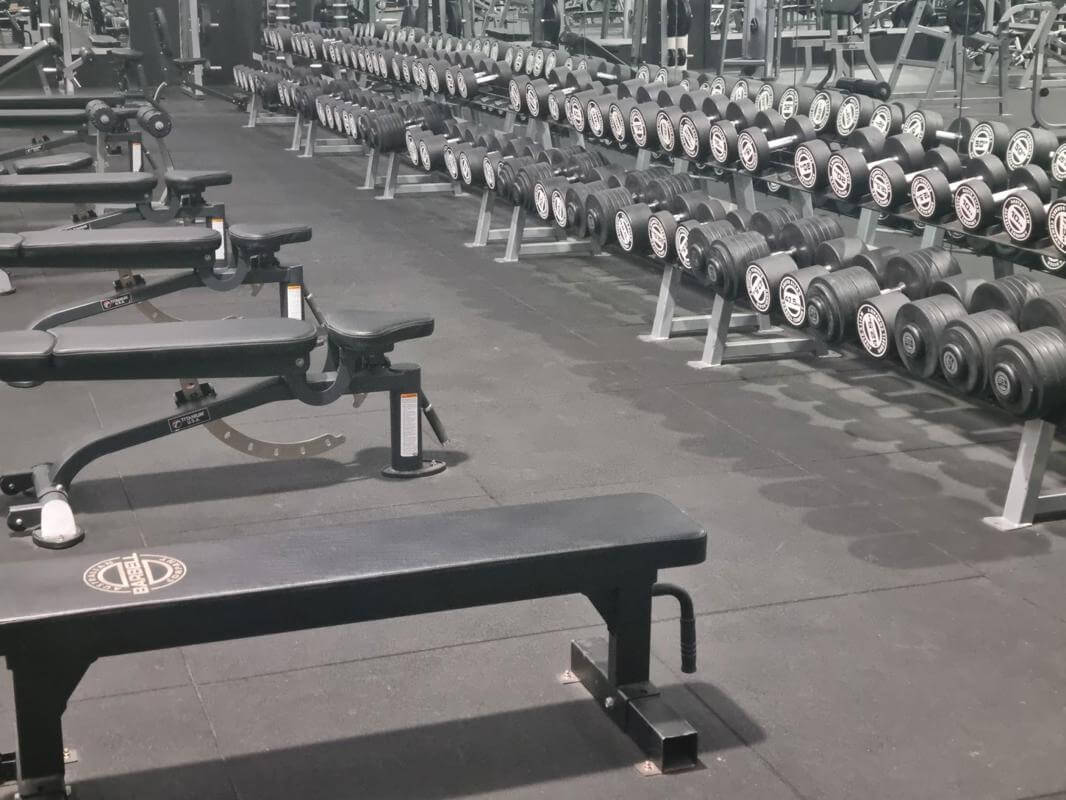 PREMIER GYMNASIUM MELBOURNE'S NORTH  OPERATING 15 YEARS