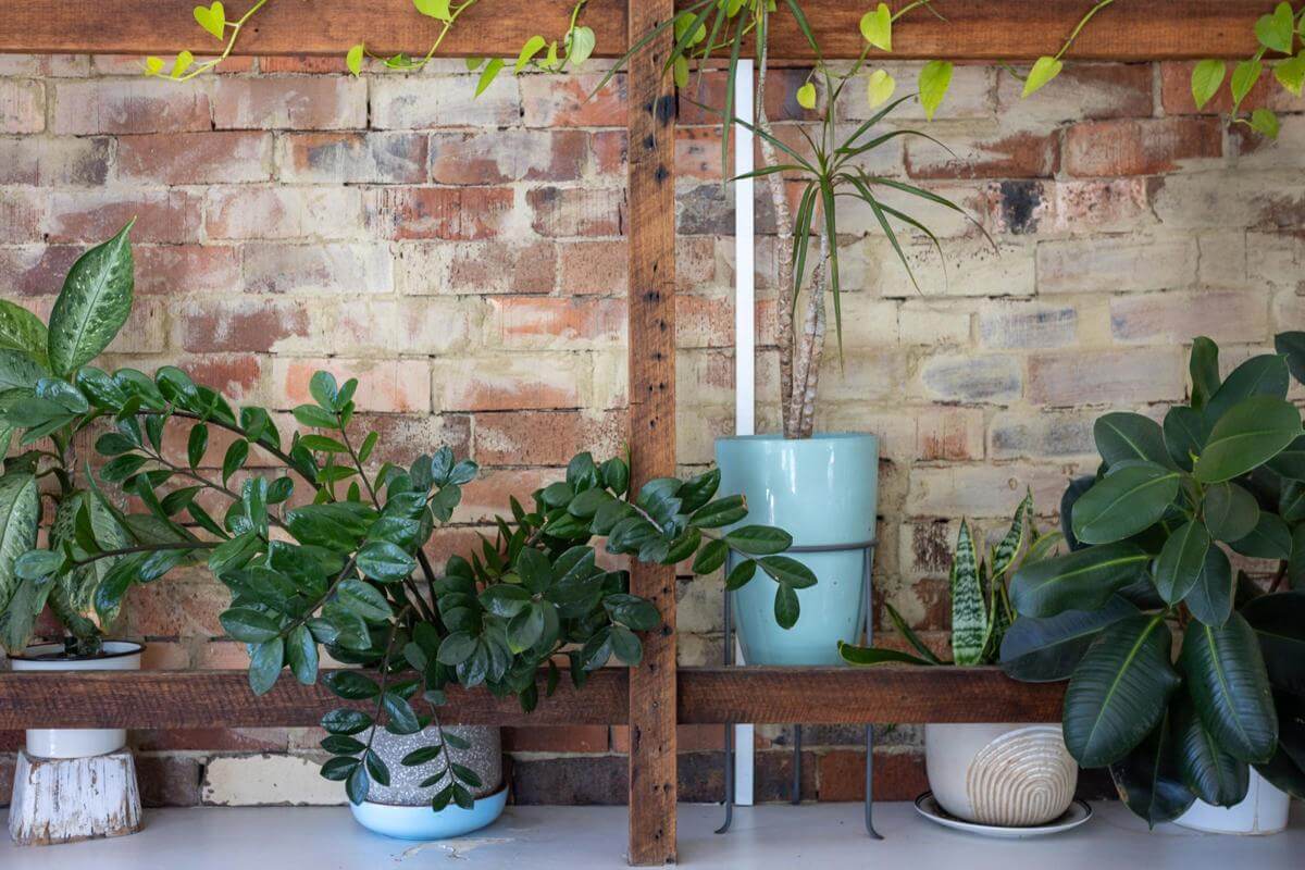 Highly Regarded | Inner West Cafe | MAS