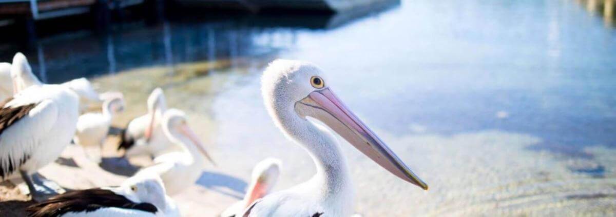 Vibrant & Unique Cafe/Restaurant/Bar & Beer Garden, Peninsula