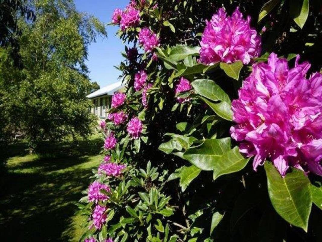 10 x 2 Bdr & 1x 1Bdr Self-Contained Fully Furnished Villas Incredible Value offers over $1,095,000