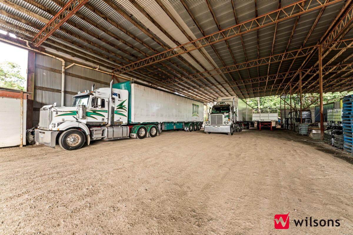 Thriving Transport Business