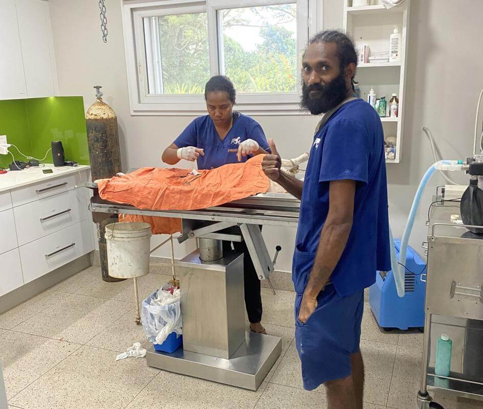 Veterinary Clinic for Sale in Port Vila, Vanuatu.
