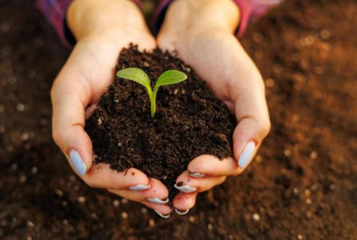 Landscape Supplies/Earthmoving Business, Run Under Management, Near Gosford