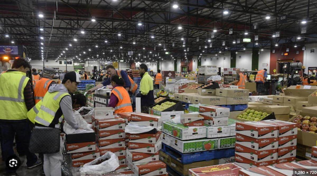 New price for Exceptional Business Opportunity: Fruit & Vegetable Wholesale at Melbourne Market