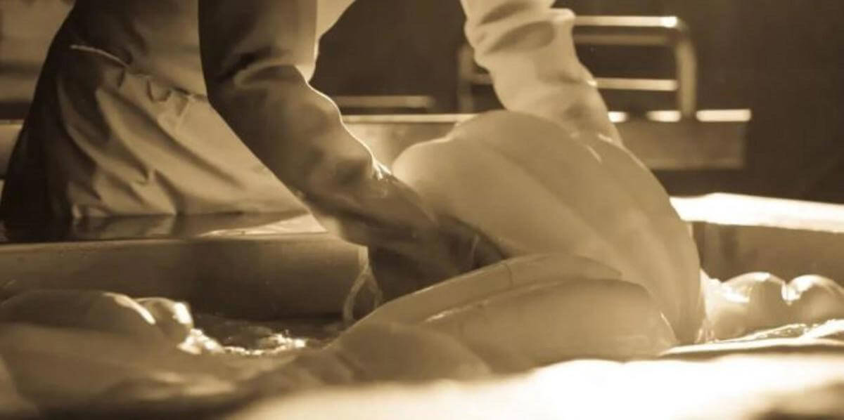 Award-Winning Cheese Manufacturing & Retail Business