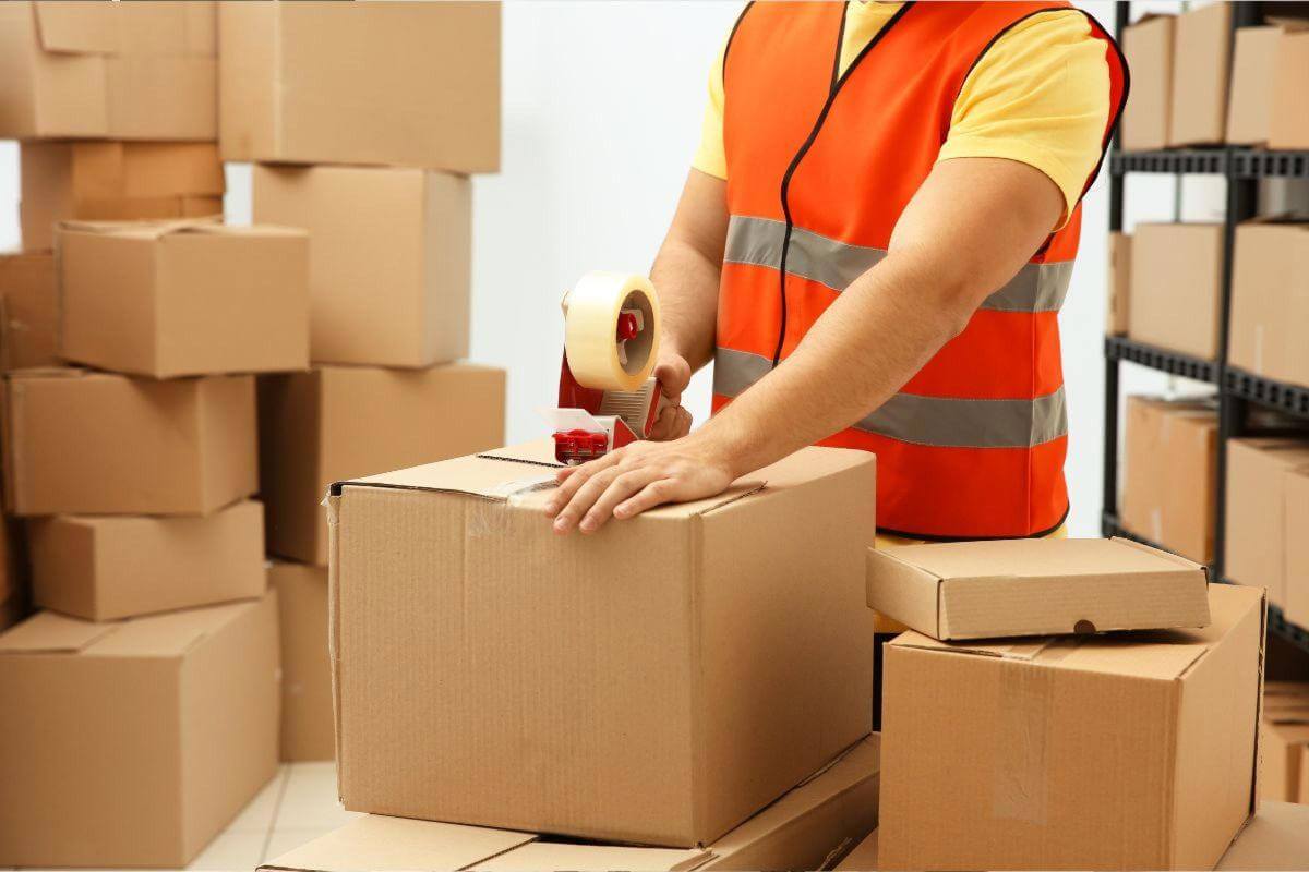 Licensing Apparel & Accessories Distribution Group  Forecast $1,094,494 Profit FY2025