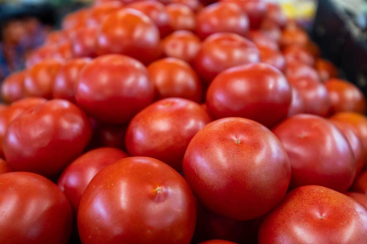 CORNER POSITION | POPULAR FRUIT MARKET | MAS189