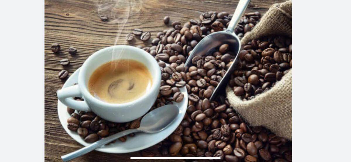 Very busy Cafe. Run under FULL management. Cash Cow.