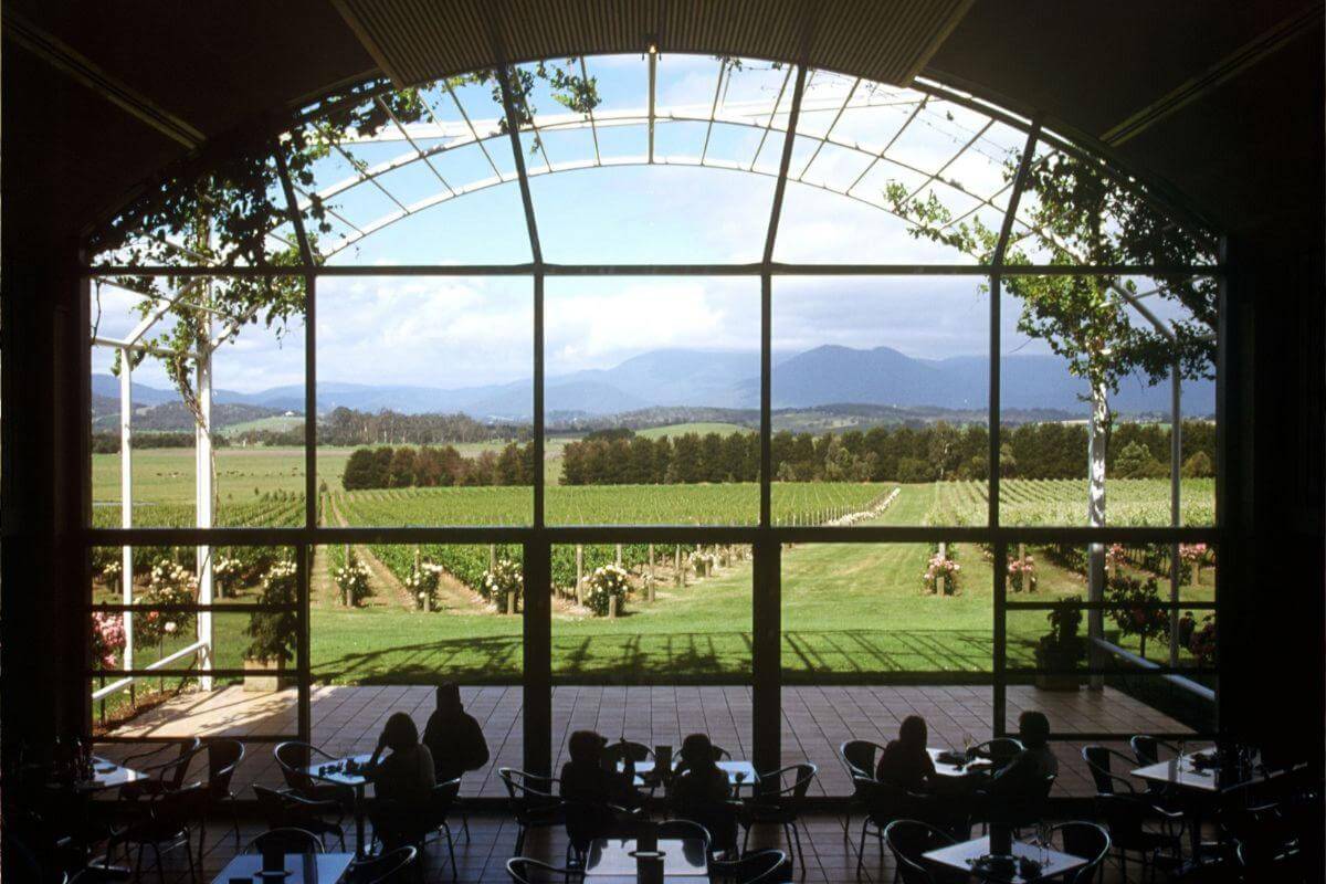 UNDER CONTRACT - Exceptional Cool-Climate Vineyard & Winery in Tasmania's Wine Heartland