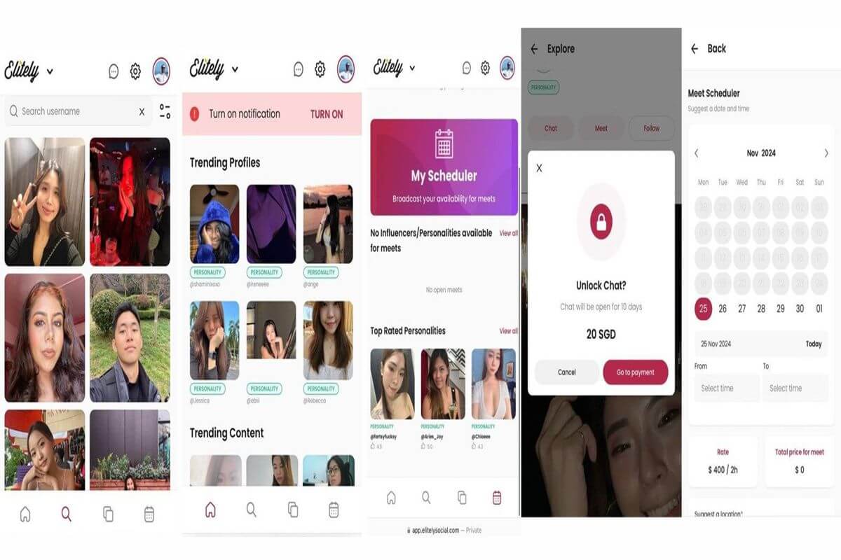 (Expired)Established Rent-A-Friend Rent-A-Date Business On Fully Automated Social Media Like Webapp