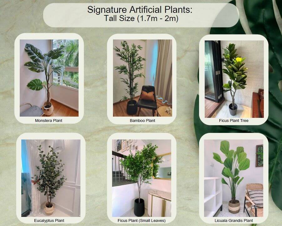 Artificial Plants, Plant Walls & Home Decor! Unique & Profitable Franchise!