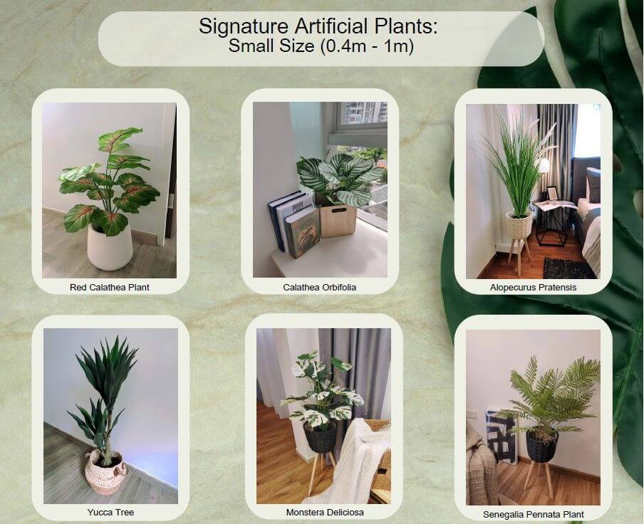 Artificial Plants, Plant Walls & Home Decor! Unique & Profitable Franchise!