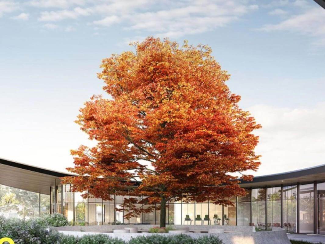 Boutique Manufacturer of Aluminium Windows & Doors