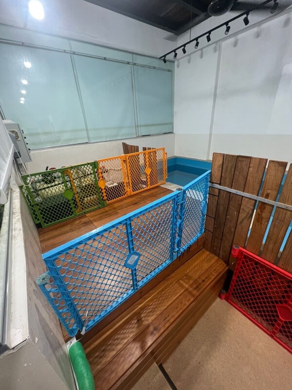 (Expired)Dog Daycare Center With Hydro Pool For Takeover