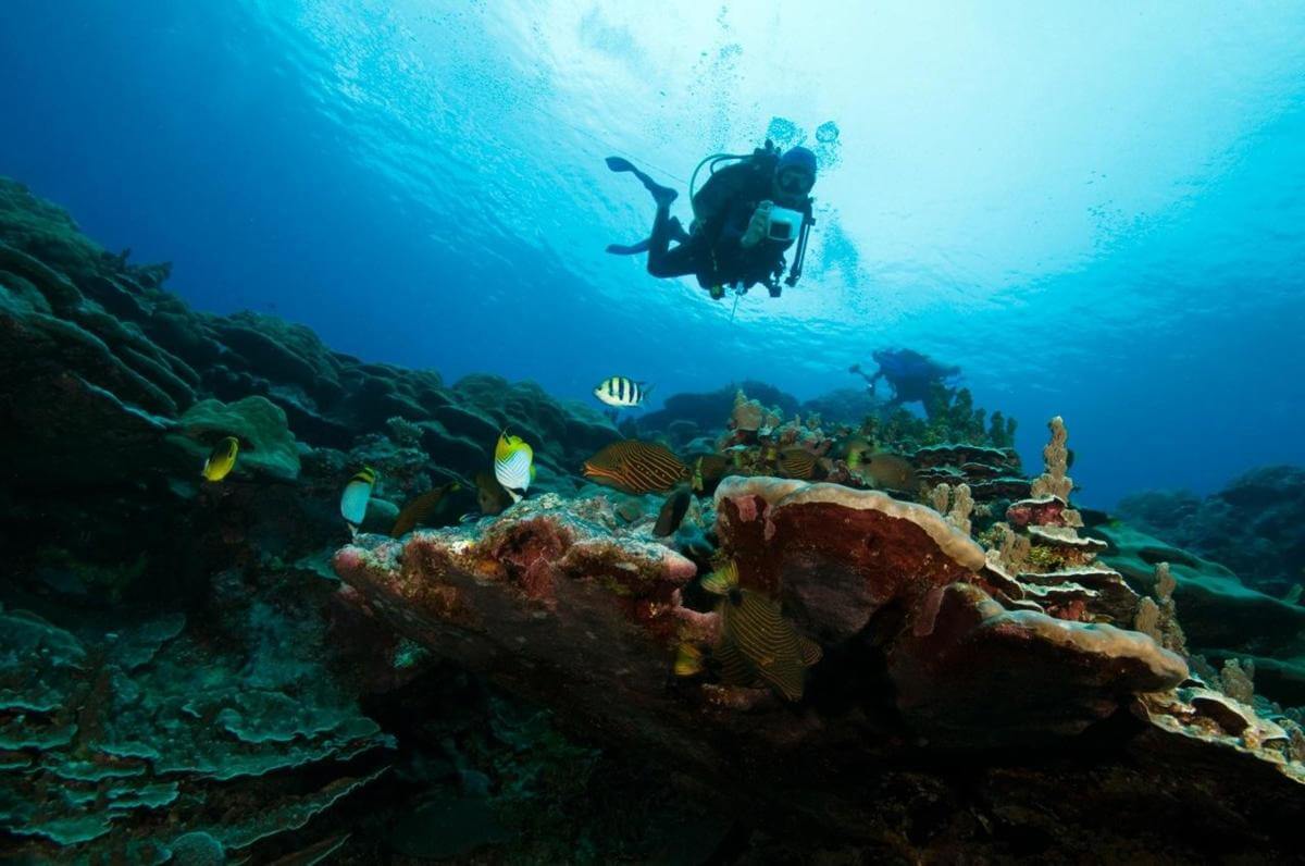 Professional Scuba Retailer