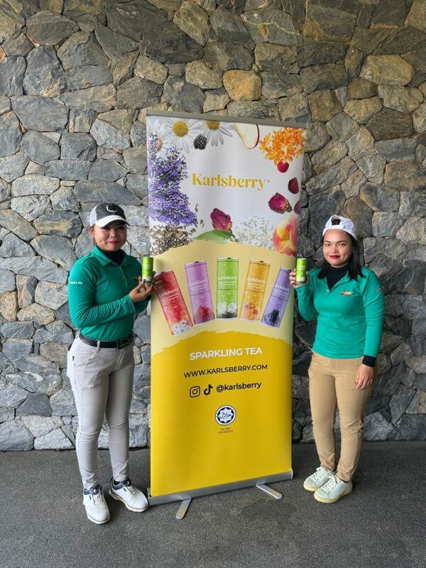 Profitable Canned Sparkling Tea Business (Consumer beverage)