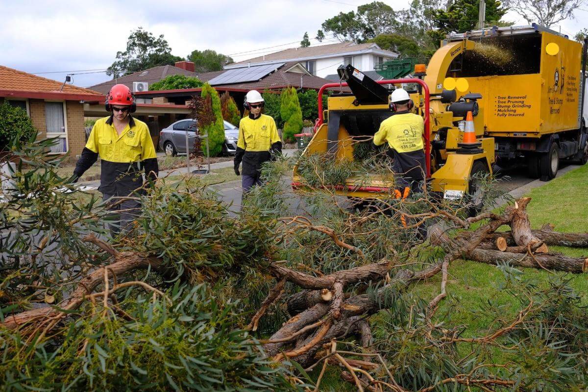 Jim's Tree lopping. Huge amount of work.