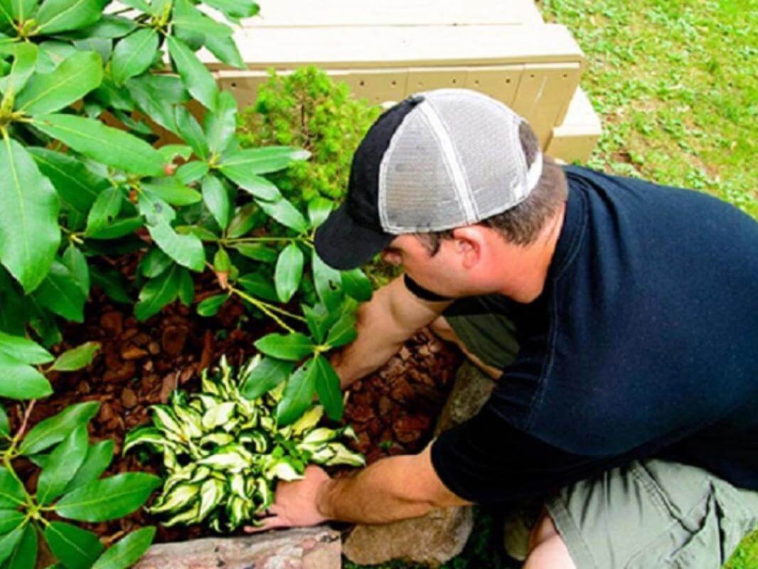 Commercial Ride on Lawnmowing Business  SE Suburbs - PRICE REDUCED - RELOCATING -EBS