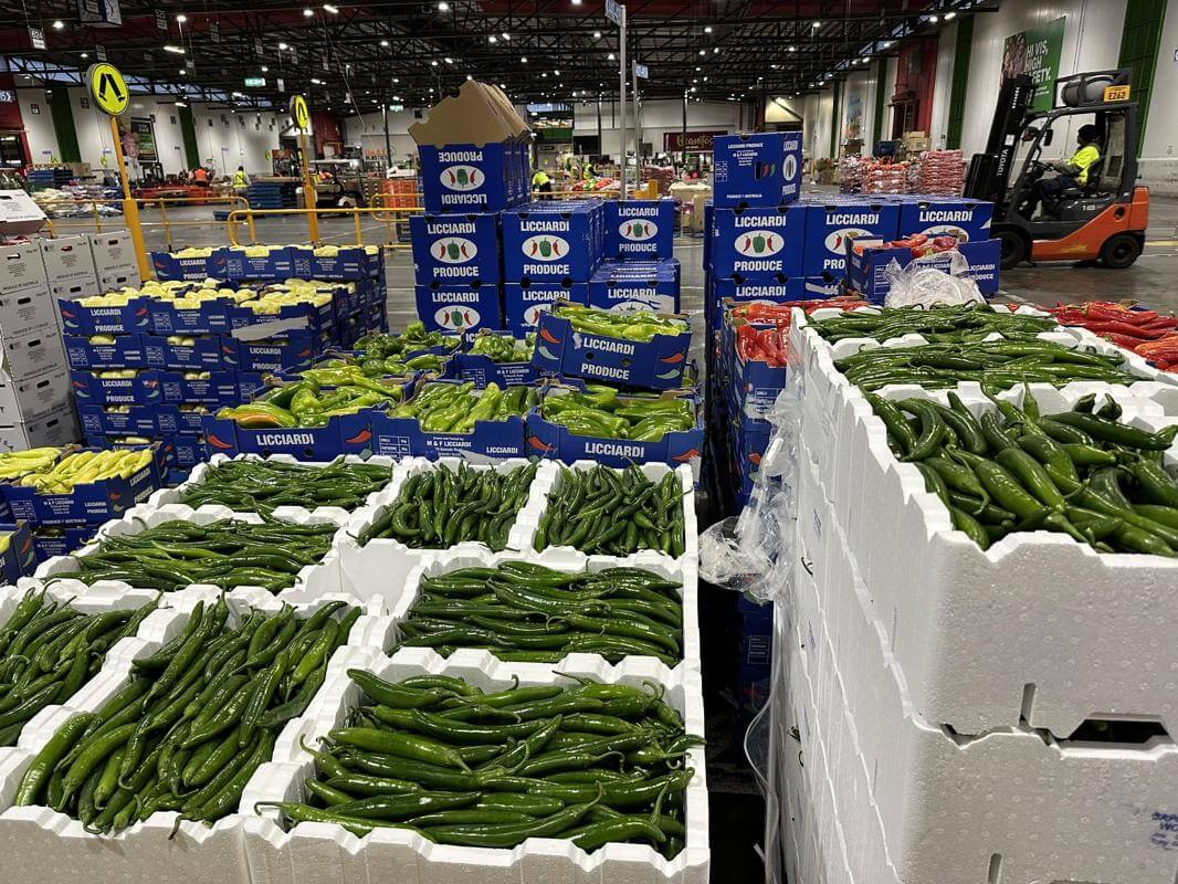 New price for Exceptional Business Opportunity: Fruit & Vegetable Wholesale at Melbourne Market