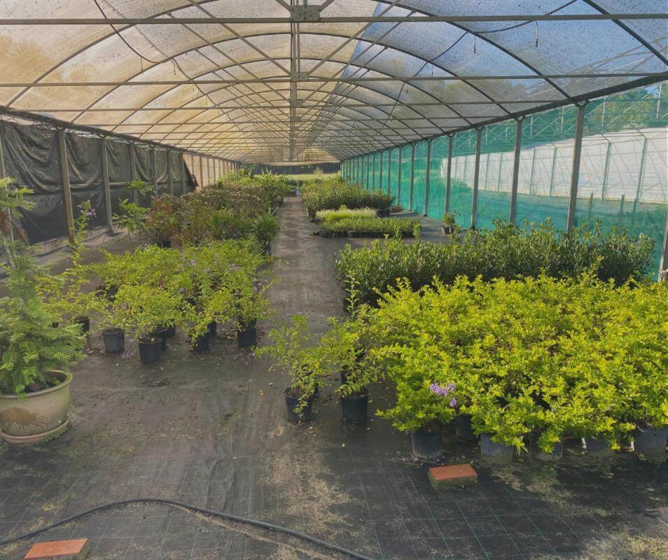 Plant the seed for your future