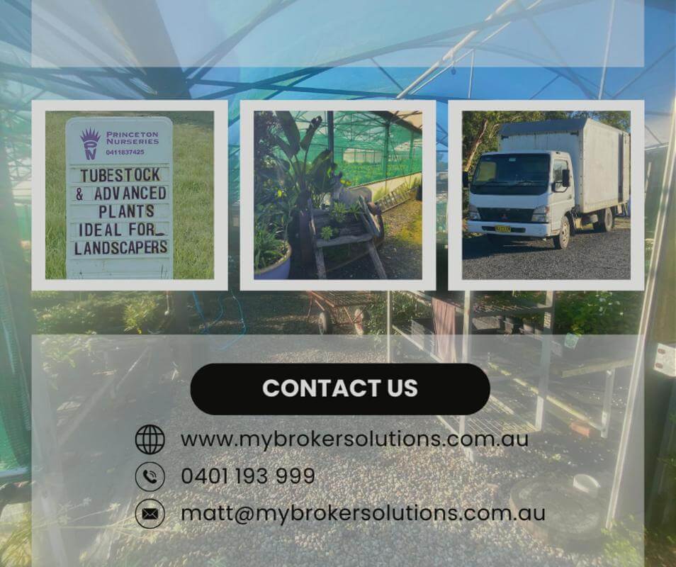 Plant the seed for your future