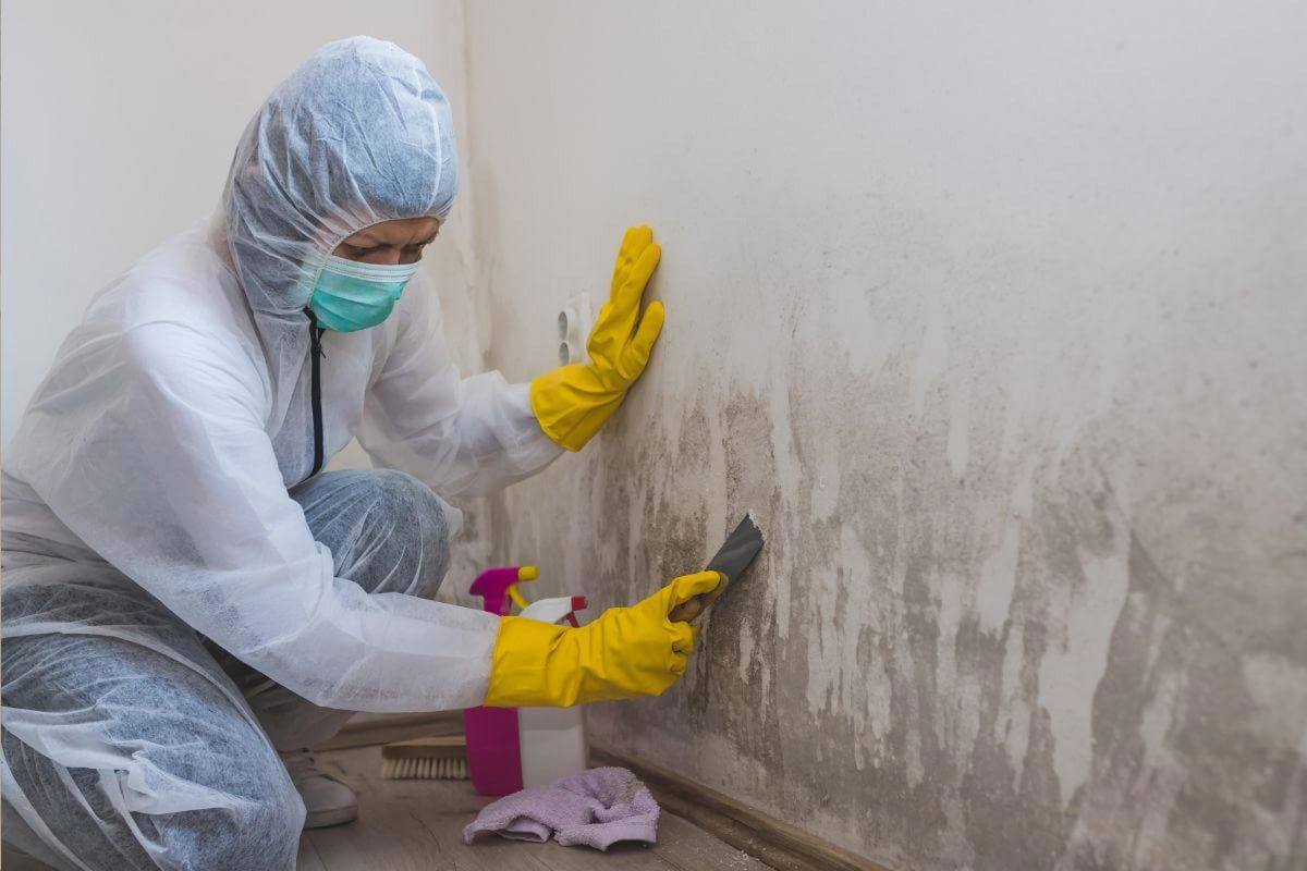 Thriving Building Services Company in Brisbane