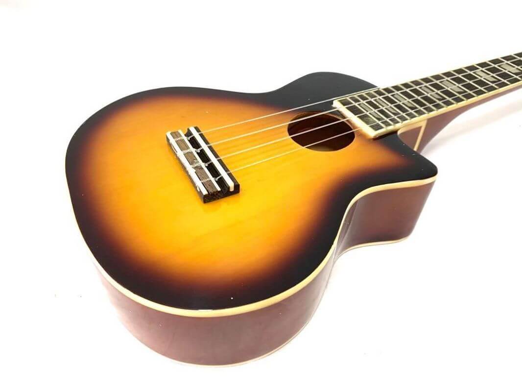 (Expired)Established Online Musical Instruments Business For Sale - Ready To Operate Immediately!(Home Based)