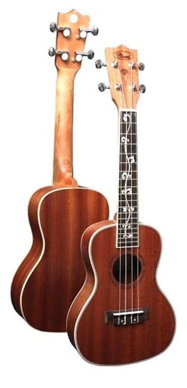 (Expired)Established Online Musical Instruments Business For Sale - Ready To Operate Immediately!(Home Based)