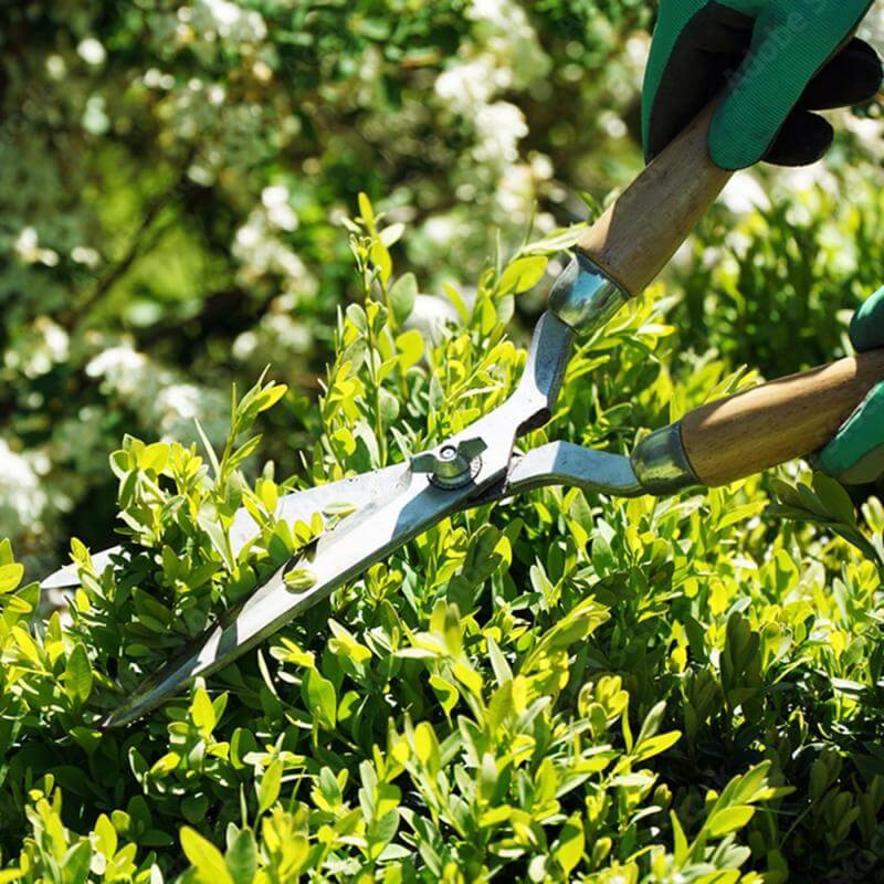 Commercial Strata Cleaning  3 Days Per Week, Long-Term Clients