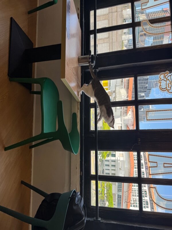 (Expired)Art Jamming Cat Cafe For Sale