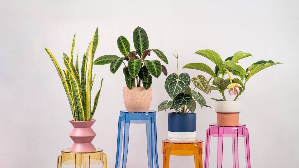 (Expired)Profitable Online Garden Store – S$500K To S$1M