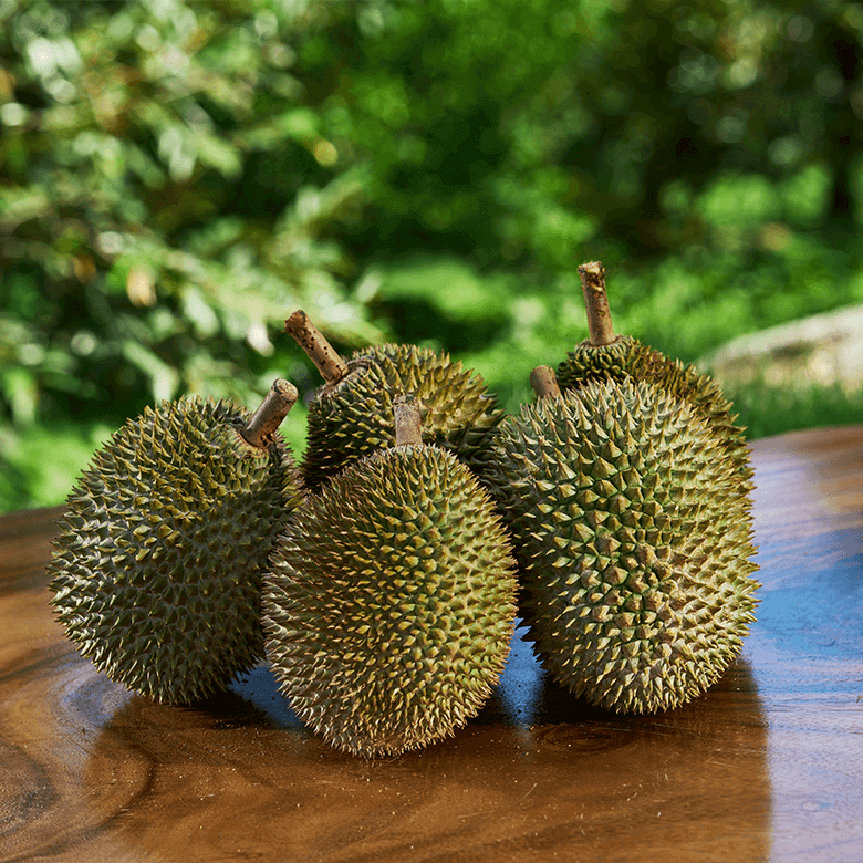 Love Durians? Start Your Own Durian Business (Even If You're A Complete Beginner!)