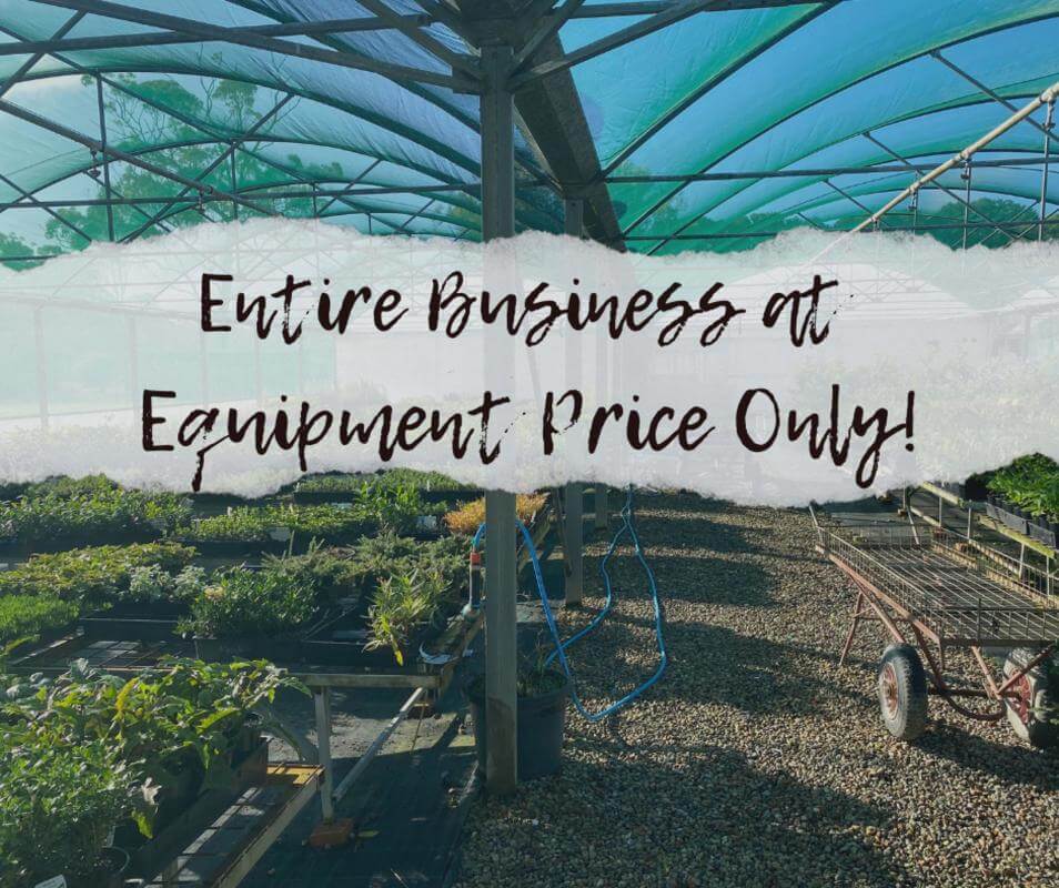 Whole Business at Equipment Price Only!