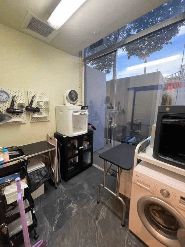 (Expired)Cat Grooming 