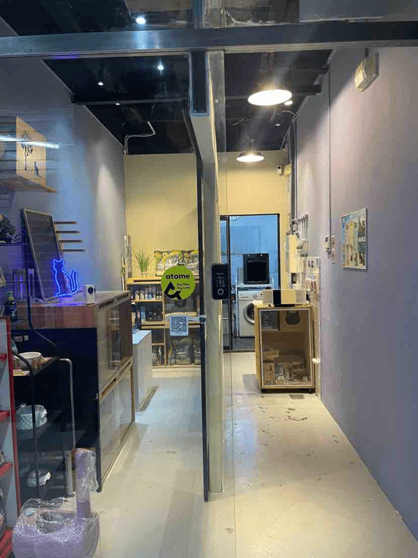 (Expired)Cat Grooming 