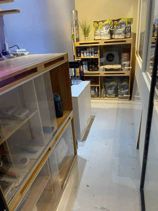 (Expired)Cat Grooming 