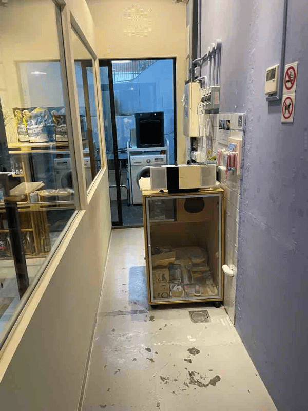 (Expired)Cat Grooming 