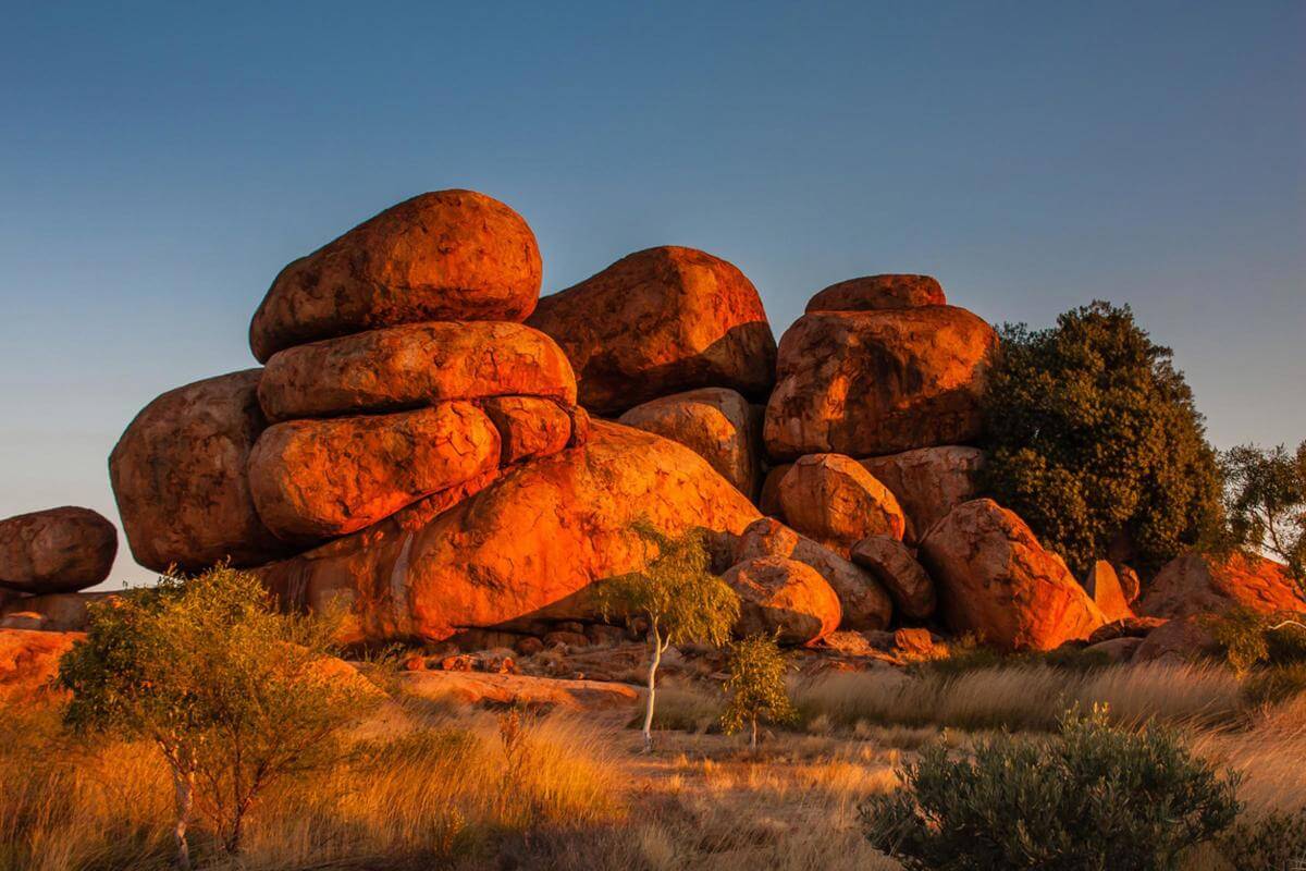 Premier Central Australia Tour Business in Australia's Red Heart