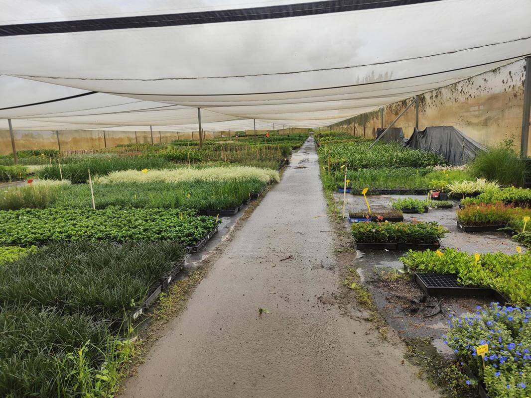 Leased  Nursery and spa supplies. Wholesale and Retail with 18.5 Acres and 3 bedroom home and pool