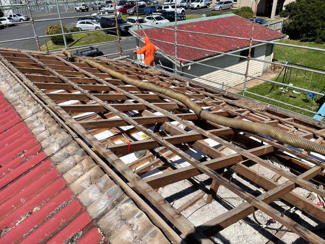 Profitable Commercial Vacuuming Business Servicing Statewide Tasmania