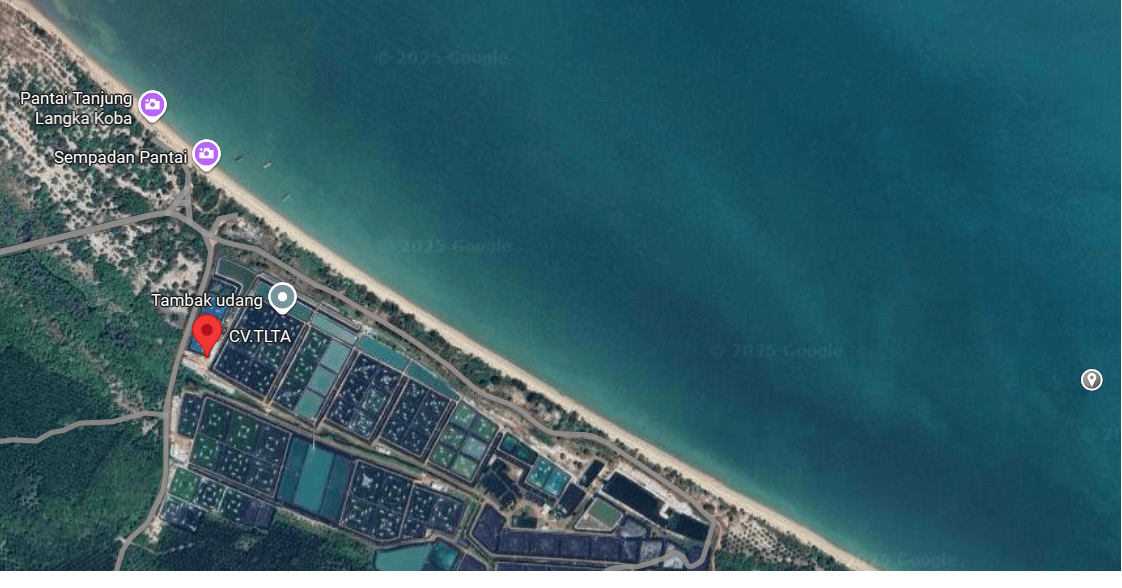 (Expired)For Sale: Turnkey Indonesian Shrimp Farm - Immediate Cash Flow & Massive Growth Potential