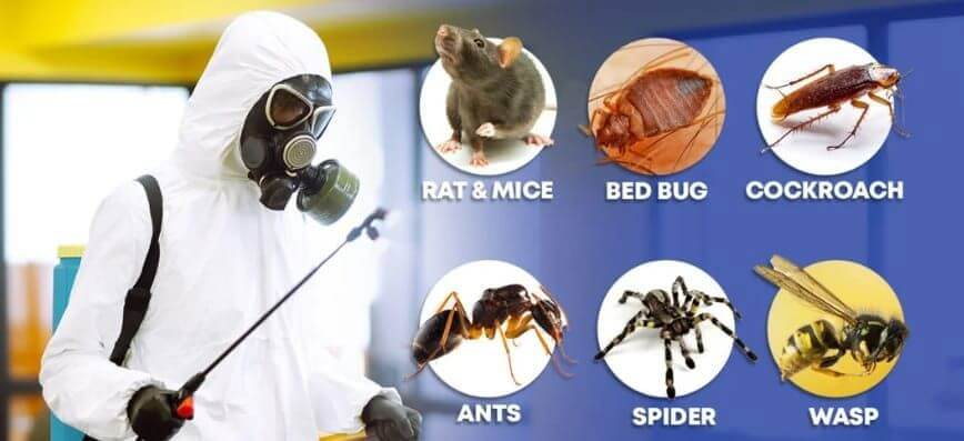 Established Pest Control Business For Sale !