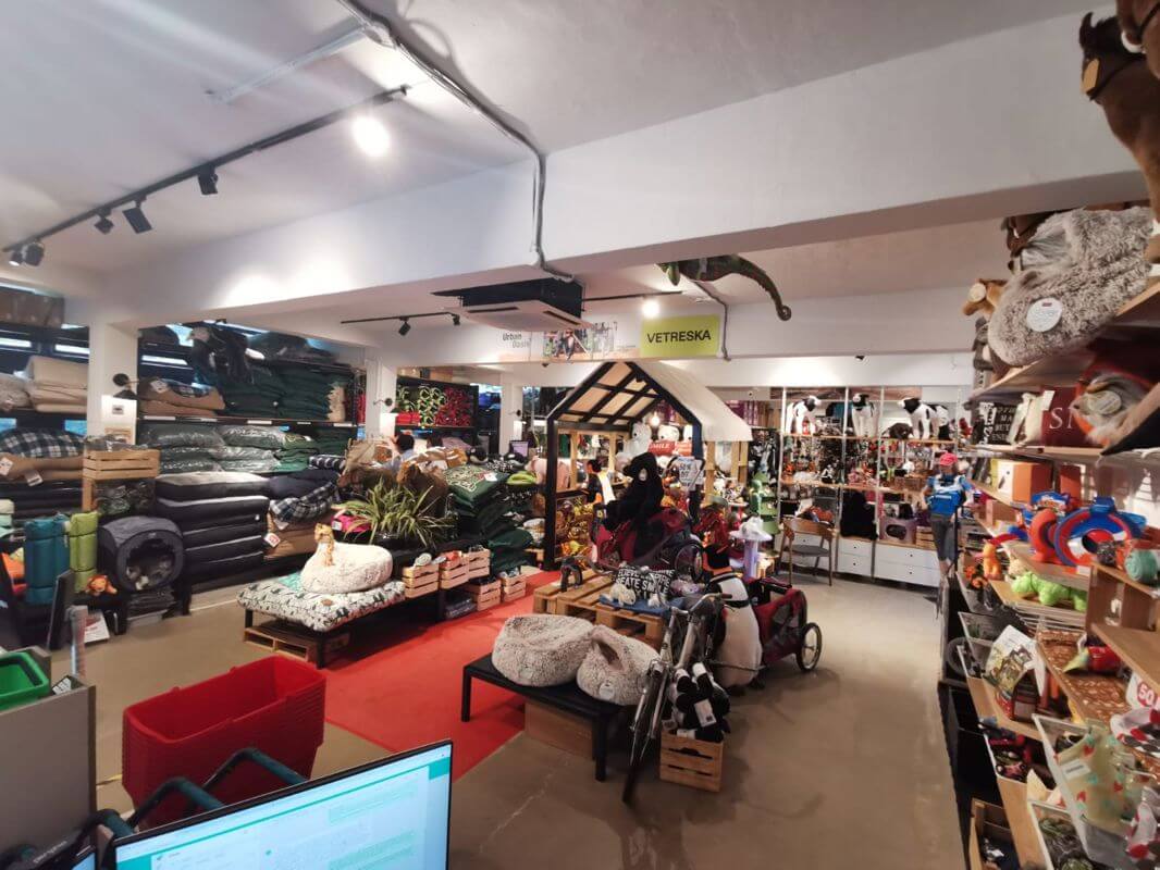 Profitable Business And Well Established Brand In Singapore