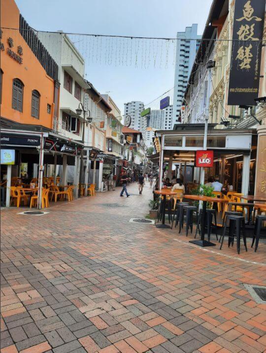 新加坡牛車水有地保留店屋(S$18.80M)和精品酒店出售 (Violet，经纪：我在新加坡牛車水拥有超过20年的店屋买卖和租赁经验。)