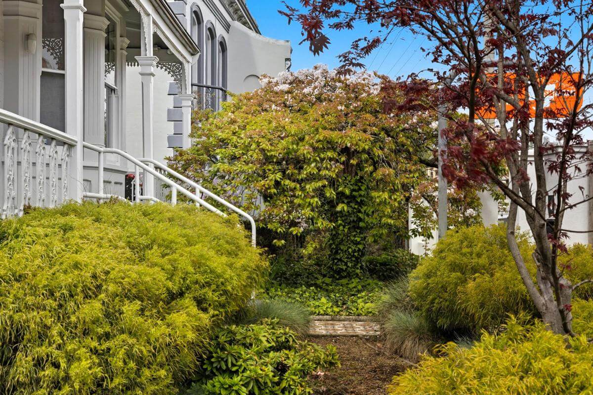 Prime Location Residence with Income or 3 BnB lets (stca) or Health Professional Rooms