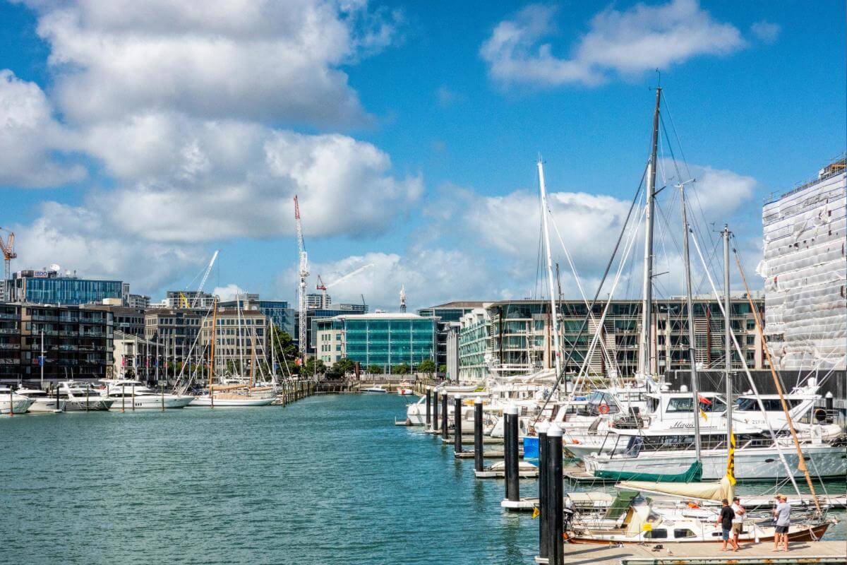 Highly Profitable Business in the Leisure Industry| $3m EBITDA  Auckland NZ