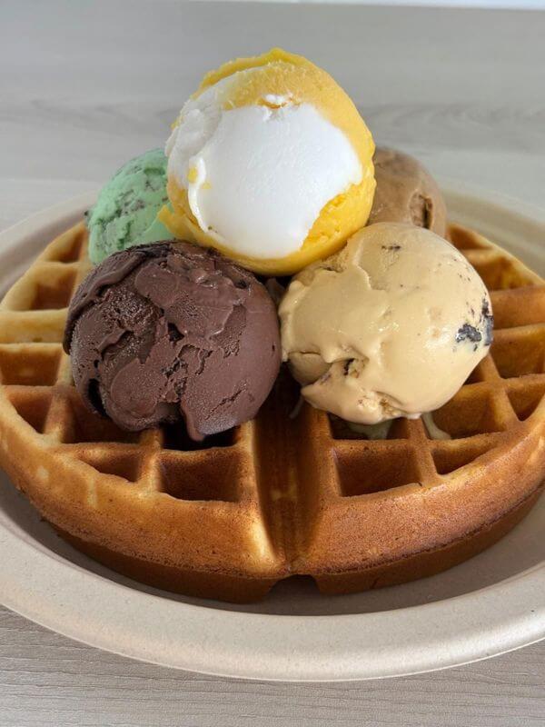 Decade Long Gelato And Bakes Cafe For Sale. Great Location And Attractive Rent.